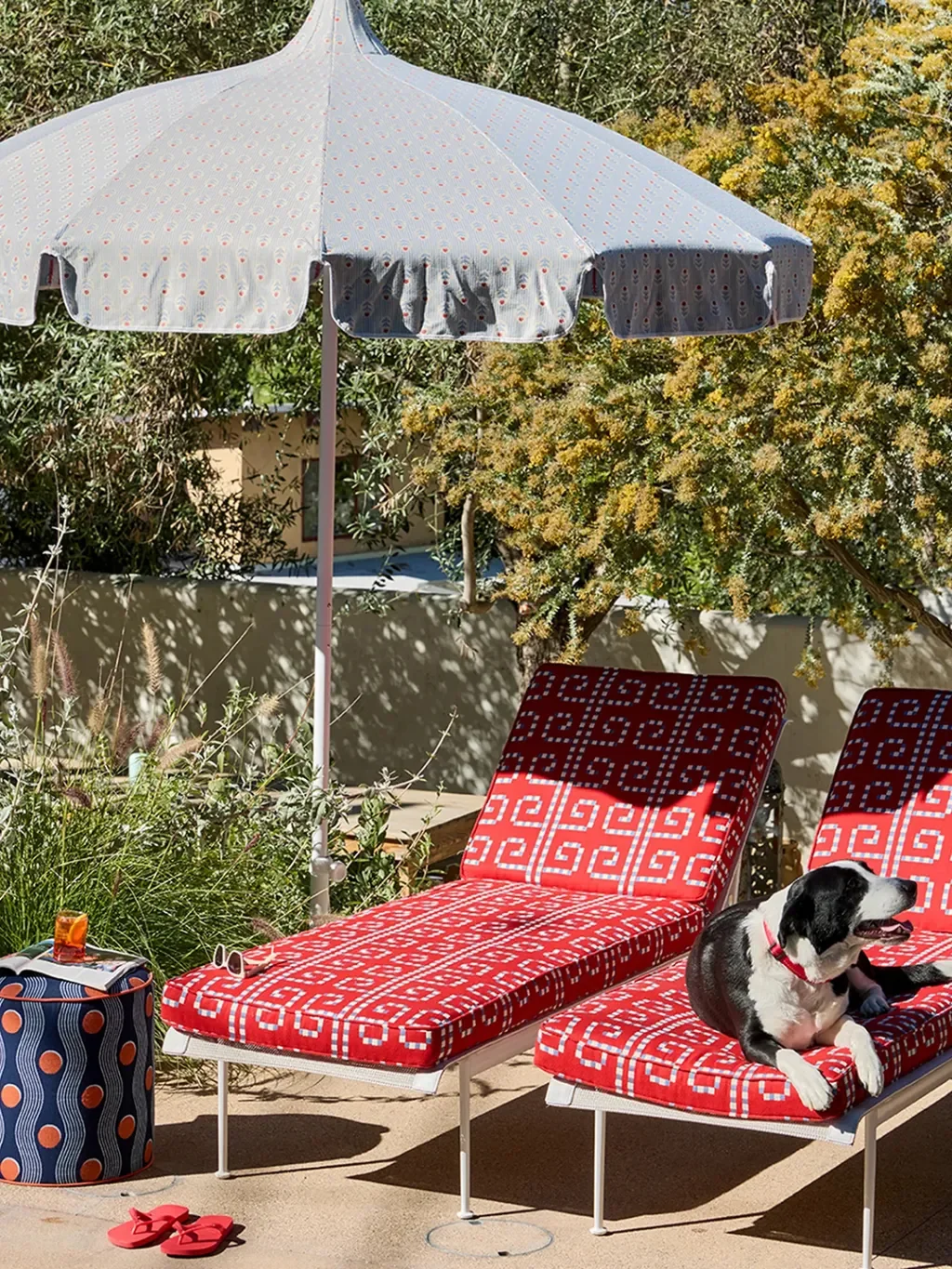 Red and Blue: A Bold Color Pairing Redefining Classic Interior Design